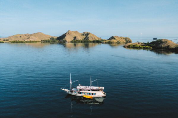 Shared Boat Trip