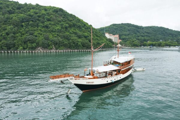 carnaby-deluxe-boat
