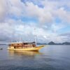 hatira-hella-deluxe-boat