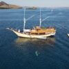 leticia-deluxe-boat