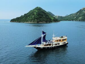 natural-deluxe-boat