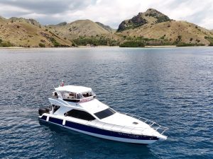 Speedboat - One Day Trip