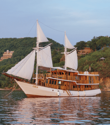 open-trip-sailing-komodo