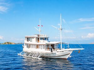 Zen Cruise